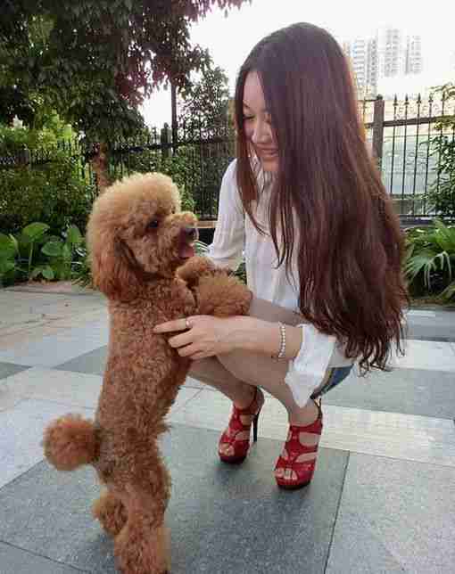 猫猫狗狗女生头像