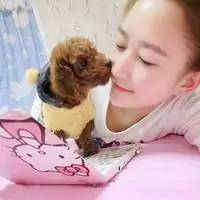 找个情侣头像!必须是狗狗