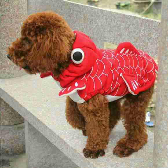 立体金鱼狗狗衣服宠物服装服饰