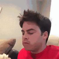 别人家的狗狗是主人的贴心小棉袄