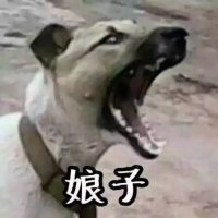 最搞笑情侣微信头像