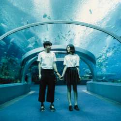 年最新最全单人情侣头像最新版大全