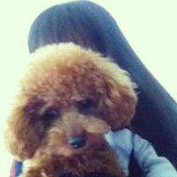 非主流个性伤感头像_我们都在淡化这段感情