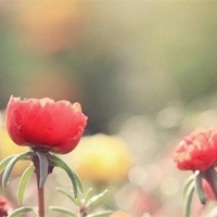 爱恋的守候花样女生非主流头像