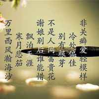 追寻的一个梦唯美带字风景头像