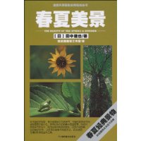 新绿风景的拍法