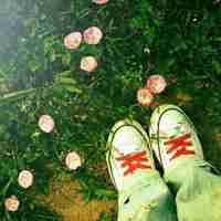 微信头像静物频道的风景静物头像栏目