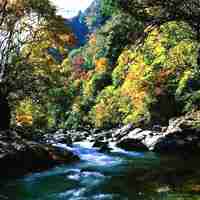 神农架自然保护区