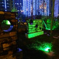 沿滨河路一道亮丽的风景线