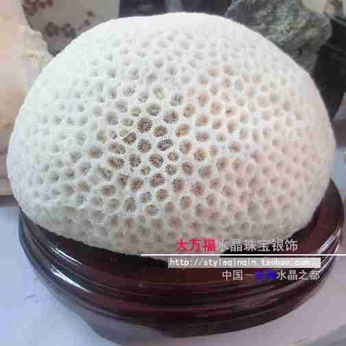 再造自然|个性创意系列花插