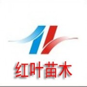 都是自然生长而成|苗木抗旱和抗寒