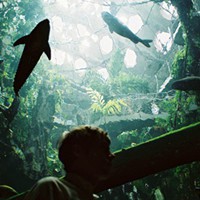 天绿*女生*意境