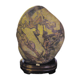 湿地|树木|花草