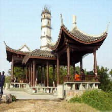 杜鹃|月季等花卉