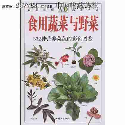 北京林业大学风景园林硕士