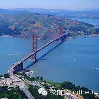 从世界各地搜集花草树木