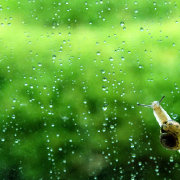 雨天唯美中的伤感_风景头像微信头像乐园