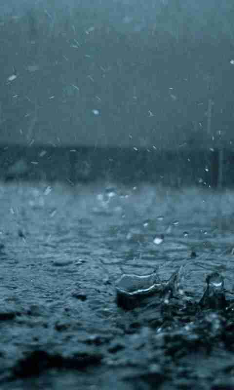风光风景>雨季