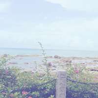 蕞n清新清新小清新