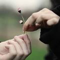一路车走到头|景色不错