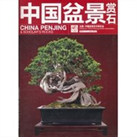 ＂宾客别墅花园＂的盆景风景文