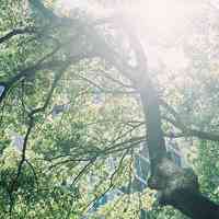 原来这样也很好看 原来这样也很好看