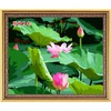 莲花风景花卉数码油画手绘