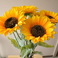 优丽纯手绘油画