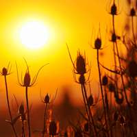 爱的人去吗_女生_浪漫