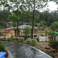 黄山风景区门票