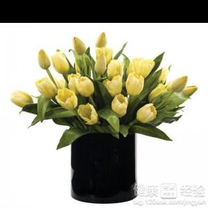 植物花卉图片大全展示