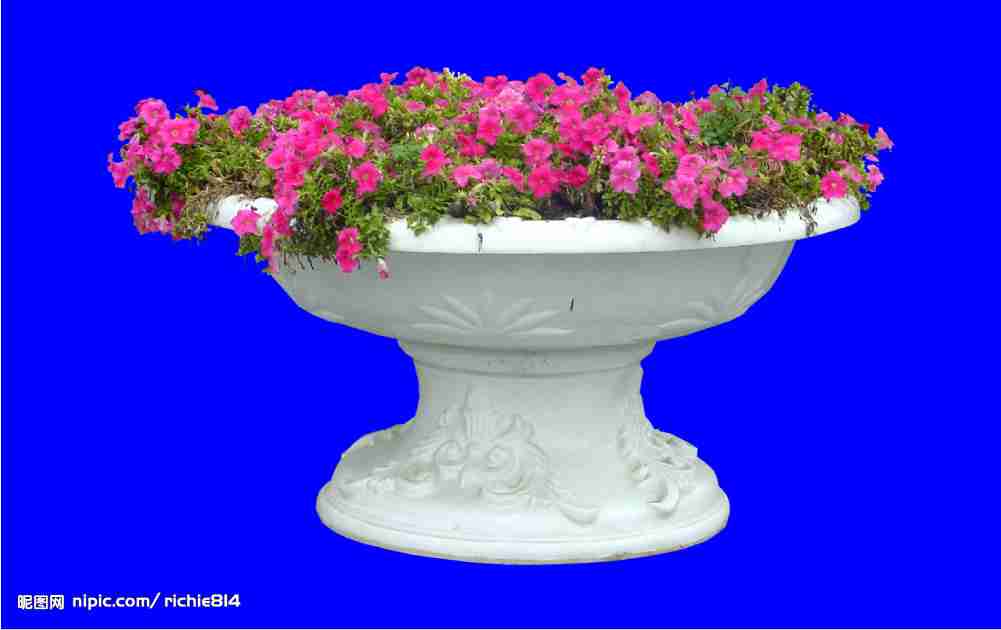 植物花卉分层源文件