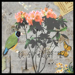 植物花卉装饰画