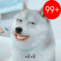 是神烦狗强迫症头像