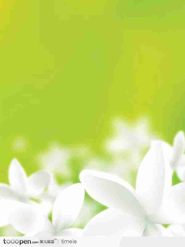 可爱花草植物矢量图