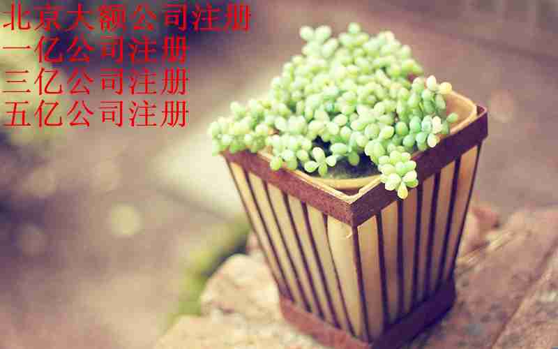 小清新花草植物图片