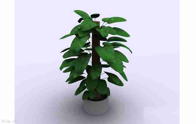 d植物花草模型植物花草d模型