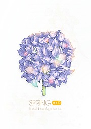 与绣球花卉背景矢量插画