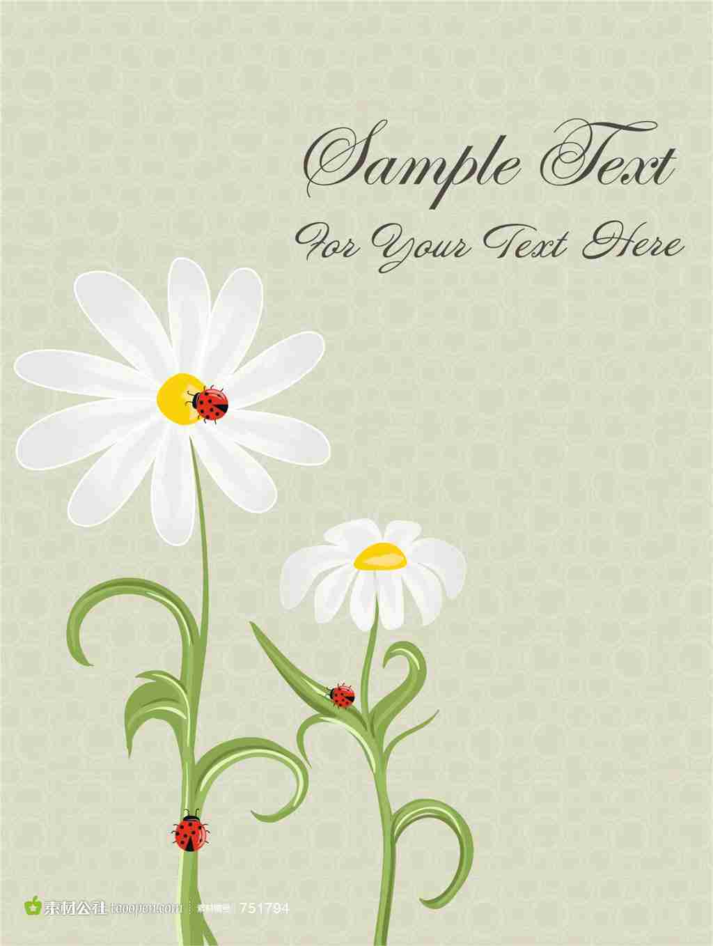 植物|花卉|瓢虫