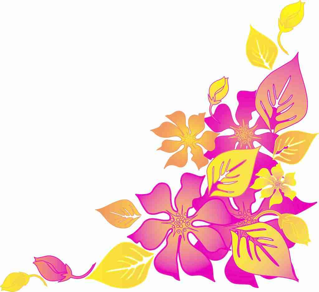 夏威夷花卉背景