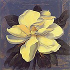 花卉|装饰画设计|其他设计