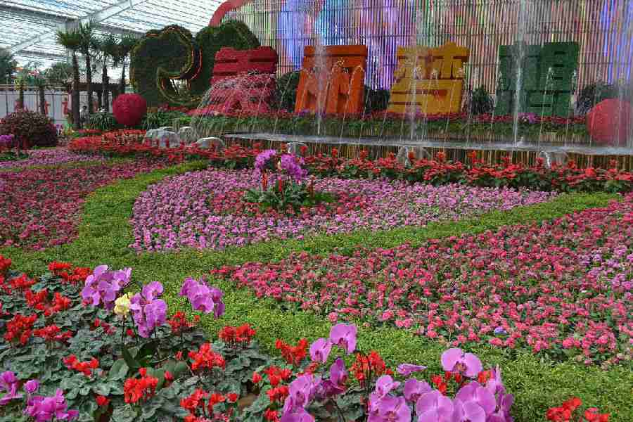 我国花卉产业走势述评一