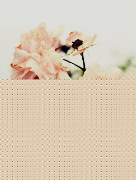 复古花卉大全高清唯美