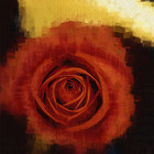 花卉抽象油画装饰画