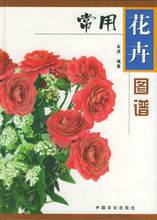常用花卉图谱