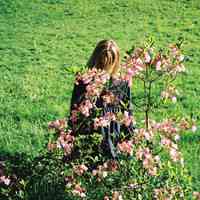 新*女生*唯美*森系