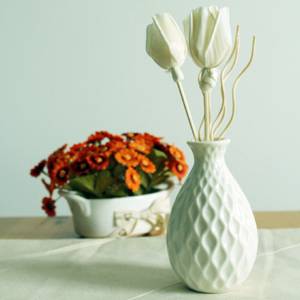 天然植物皮花朵