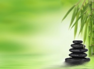 唯美竹子背景图片