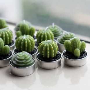 仙人掌沙漠仿真多肉植物蜡烛