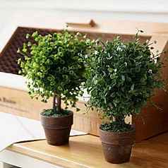 盆套装仿真植物盆栽